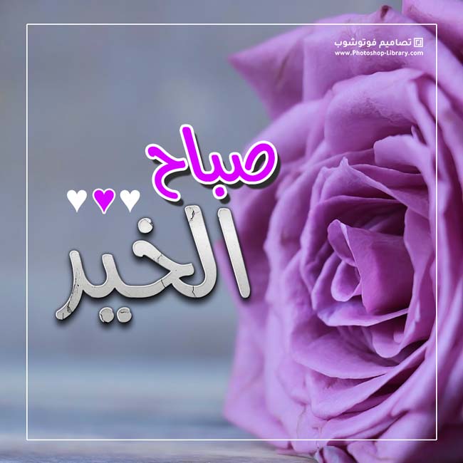 صباح الحب حبيبتي صباحي انتي