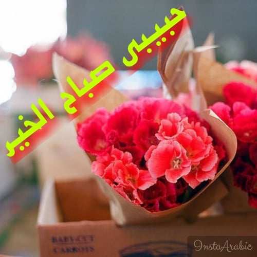 صباح الحب حبيبتي