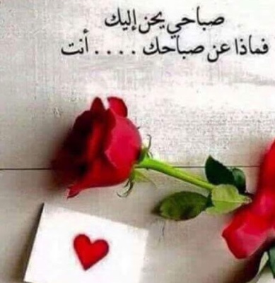 صباح الحب