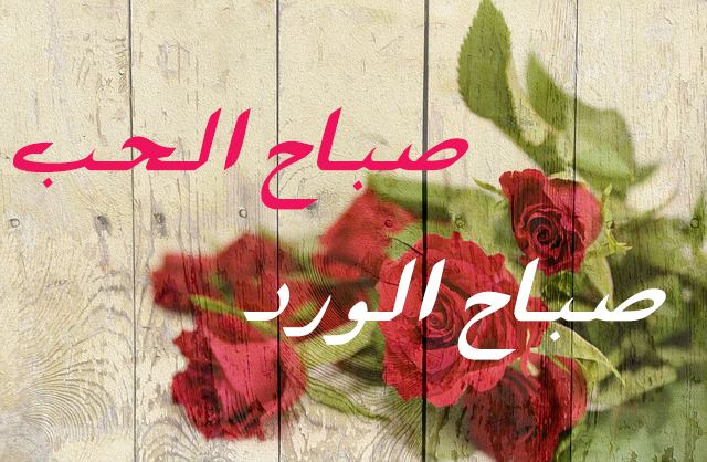 صباح الورد وعطره