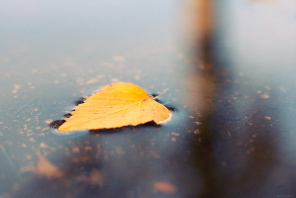 صور احترافيه