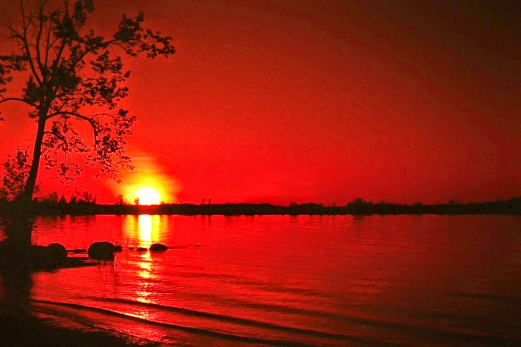 صور احترافيه