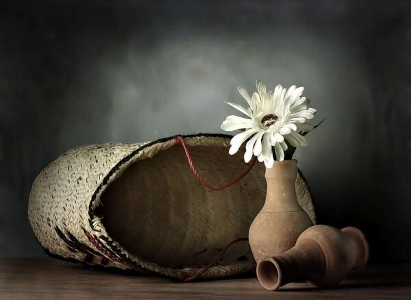 صور احترافيه