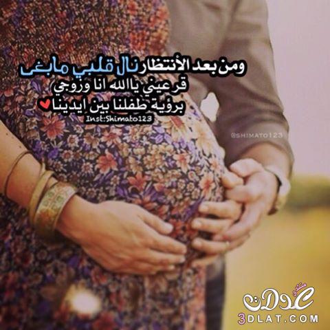 صور حوامل