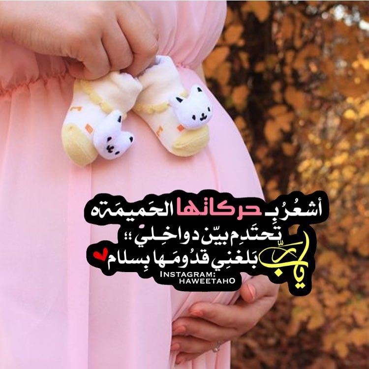 صور حوامل