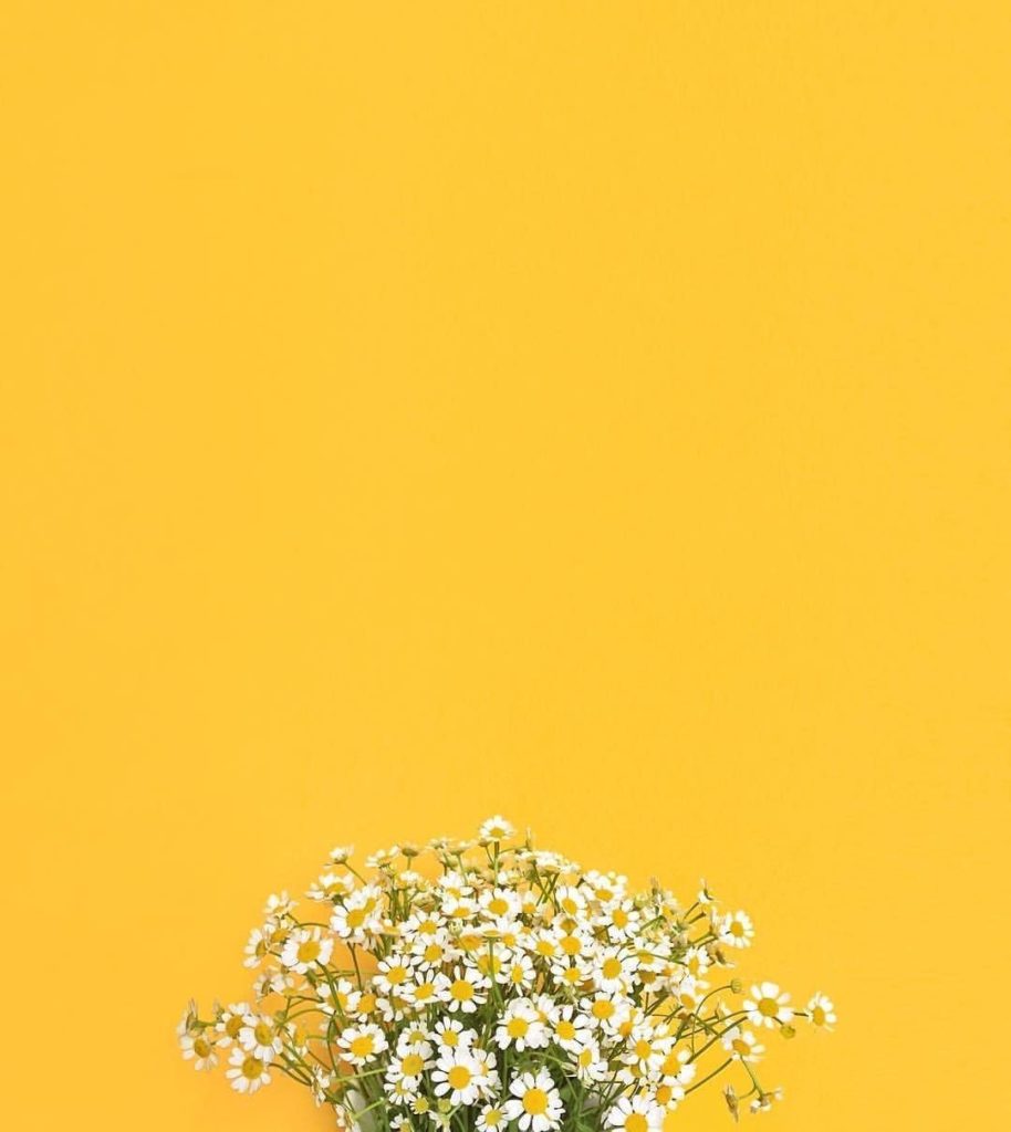 صور صفراء