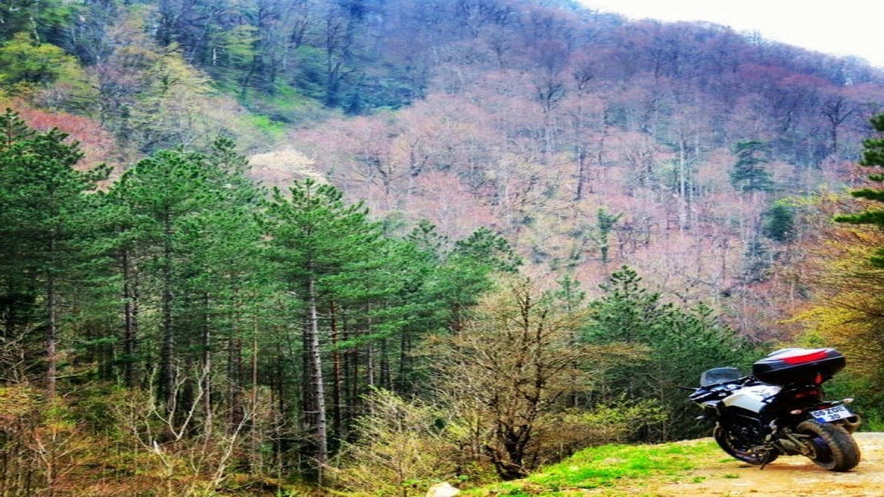 صورة صور طبيعيه