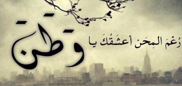صور عن اليوم الوطني السعودي