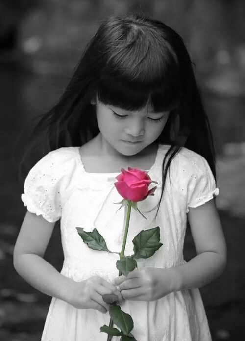 صور فايسبوك