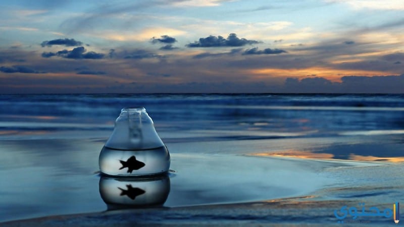 صور للبحر