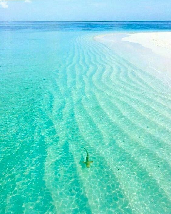صور للبحر
