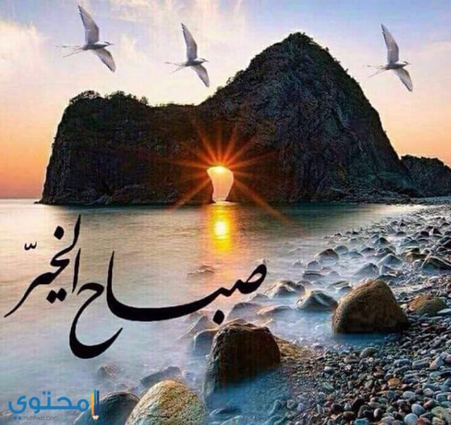 صور للبحر