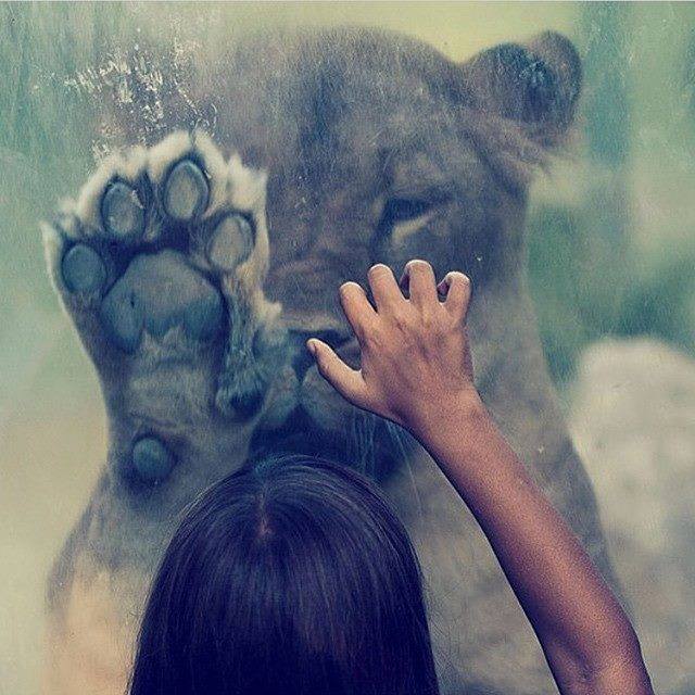 صور لها معنى