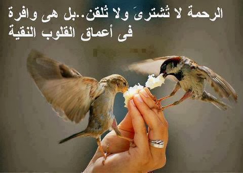 صور لها معنى