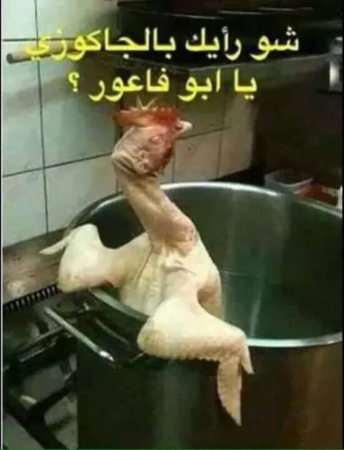 صور مضحكة