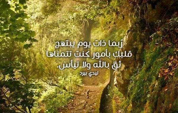 عبارات اسلاميه