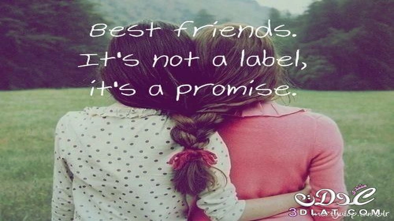 صورة عبارات بالانجليزي عن الصداقة