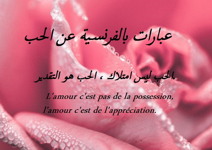 عبارات بالفرنسية