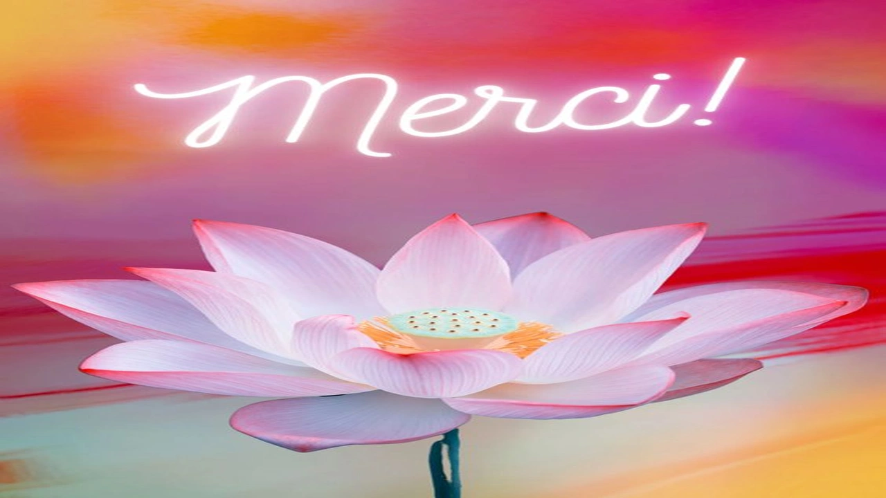 صورة عبارات شكر بالفرنسية مترجمة بالعربية