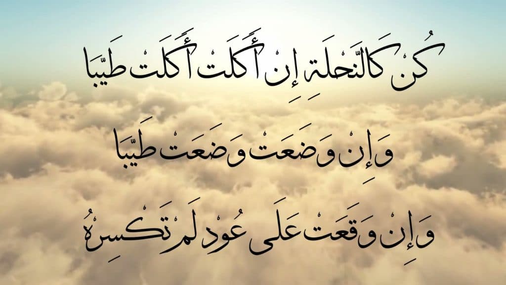 عبارات ظهريه