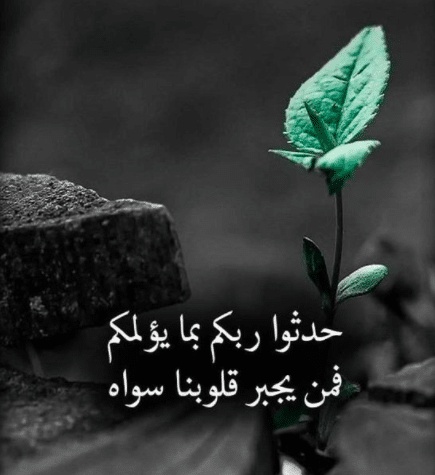 عبارات ظهريه