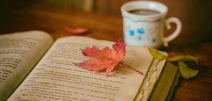 عبارات عن الاستمتاع بالحياة بالانجليزي
