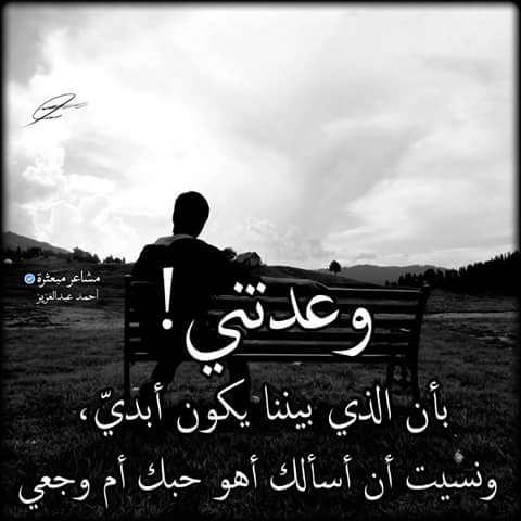 عبارات عن الحب الحقيقي