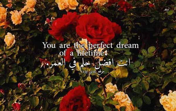 عبارات عن الحب للتصميم