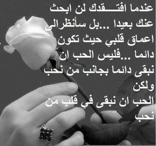 عبارات عن الحب للحبيبة