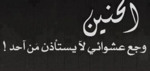 عبارات عن الحب والشوق