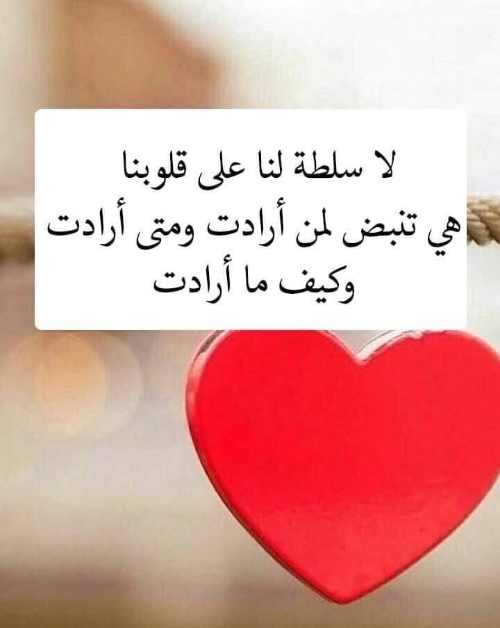 عبارات عن الحب