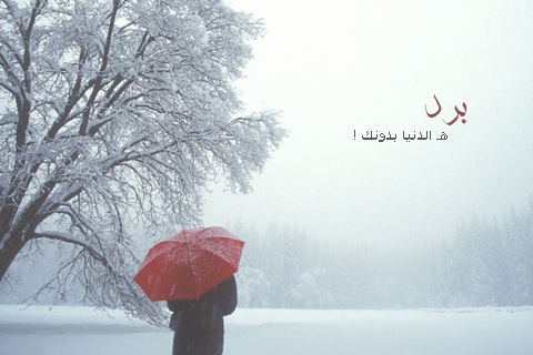عبارات عن الشتاء