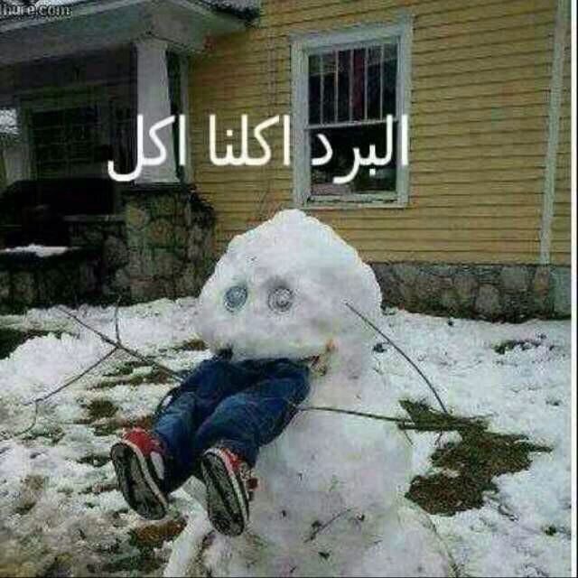 عبارات عن الشتاء