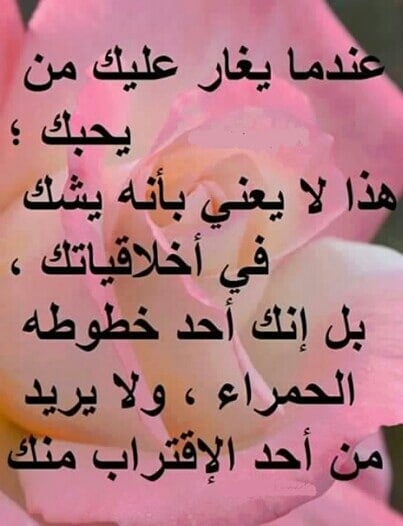 عبارات عن الشخص الغيور