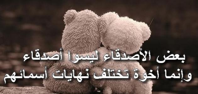 عبارات عن الصداقة