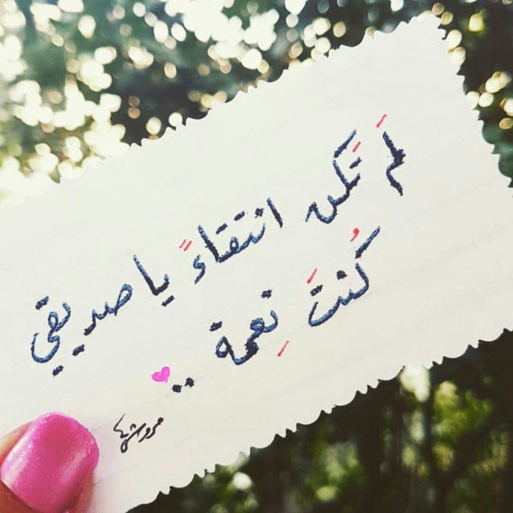 عبارات عن الصداقة