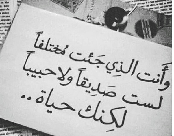 عبارات عن الصداقة