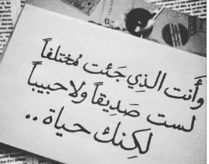 عبارات عن الصداقة