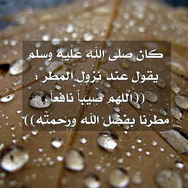 عبارات عن المطر مزخرفه