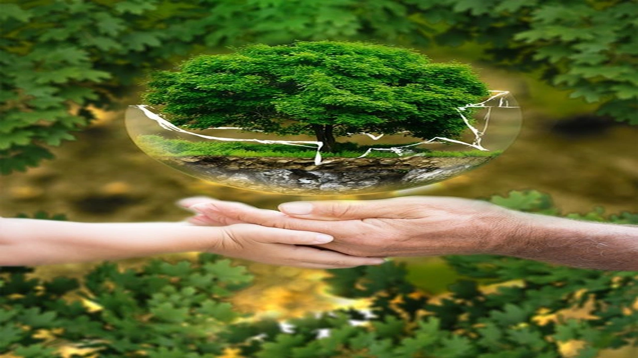 صورة عبارات عن الوعي البيئي