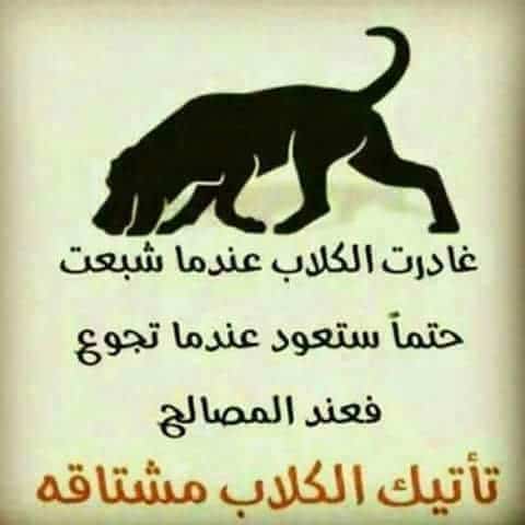 عبارات عن حب المصلحة