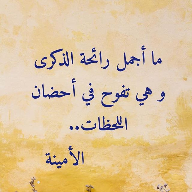 عبارات عن رائحة الحبيب