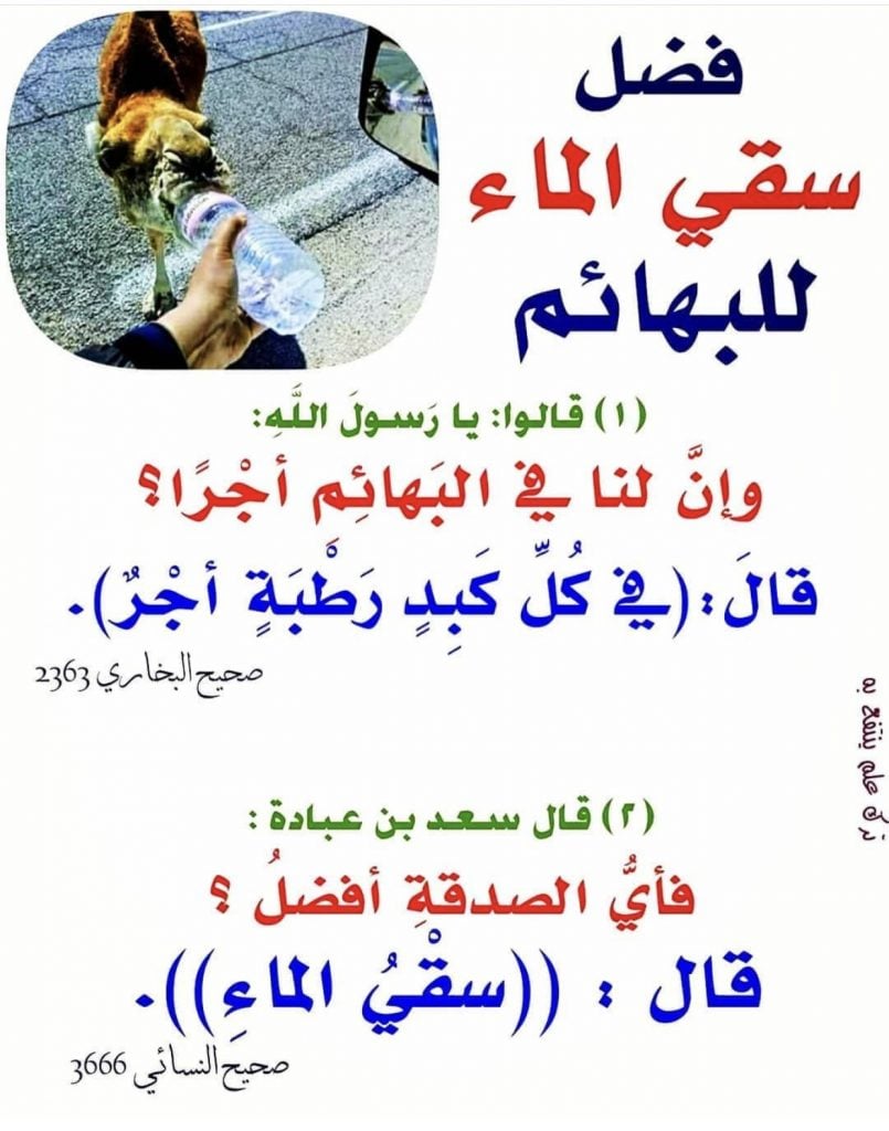 عبارات عن سقي الماء