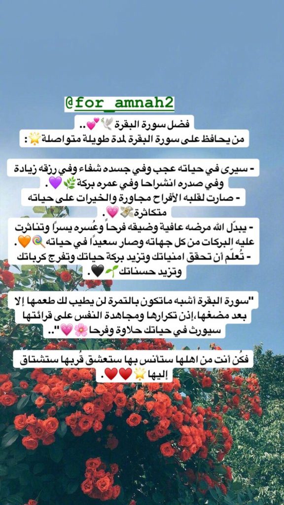 عبارات عن سورة البقرة