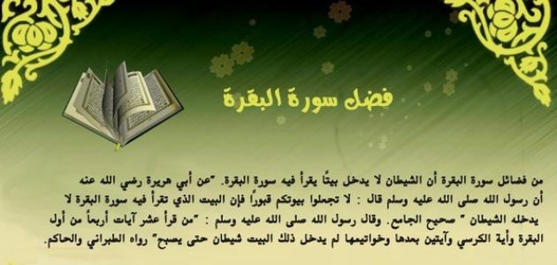 عبارات عن سورة البقرة