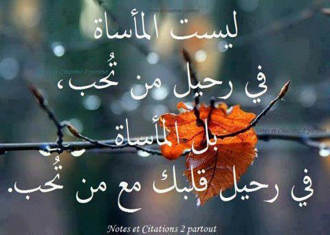 عبارات عن ضياع الحب