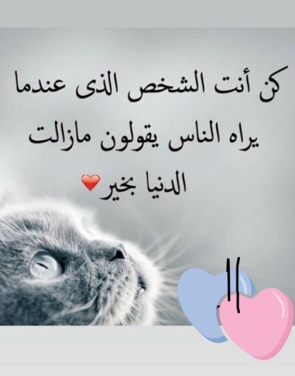 عبارات عن طيب الاصل