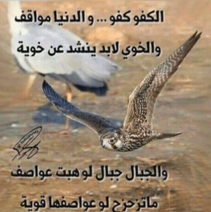 عبارات عن طيب الرجال