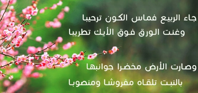 عبارات عن فصل الربيع
