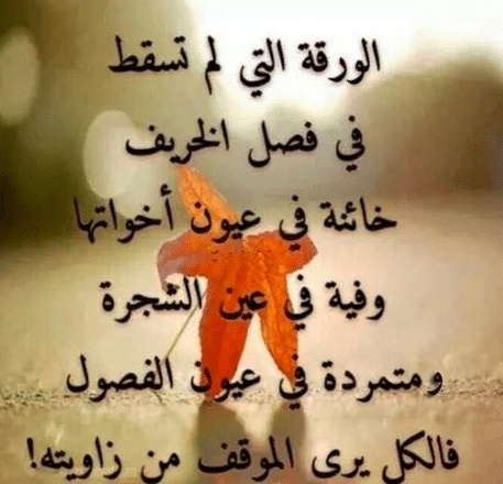 عبارات عن فصل الربيع